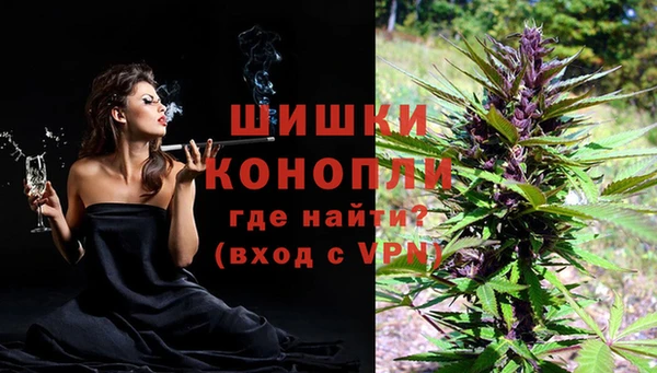 MESCALINE Белокуриха