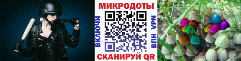 сколько стоит  Ершов  Псилоцибиновые грибы Cubensis 